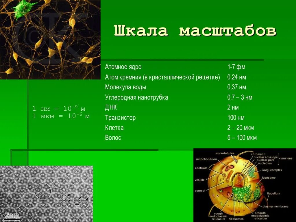Сколько нанометров молекула
