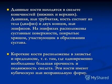 Костя длинный