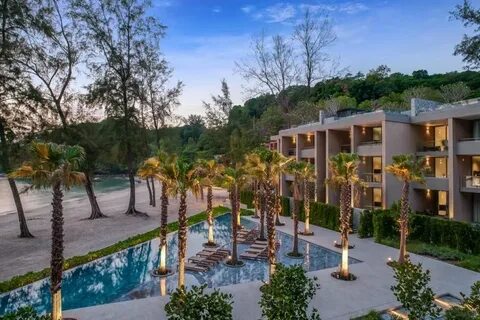 Twin palms