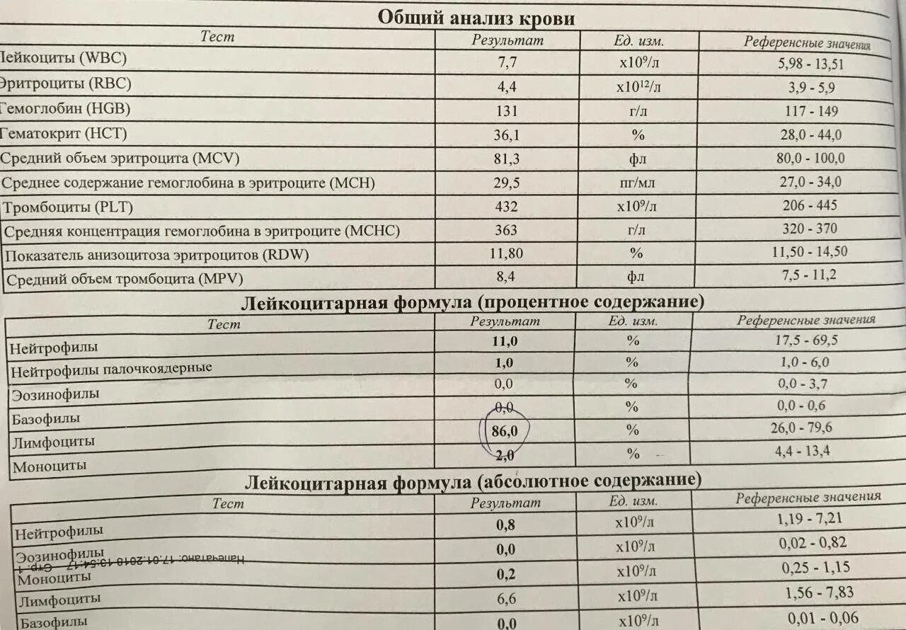 Почему могут быть повышенные лейкоциты. Нормальные показатели лимфоцитов периферической крови. Лейкоциты в крови норма у детей 15 лет таблица. ОАК лимфоциты норма. Моноциты норма у детей 2 года.