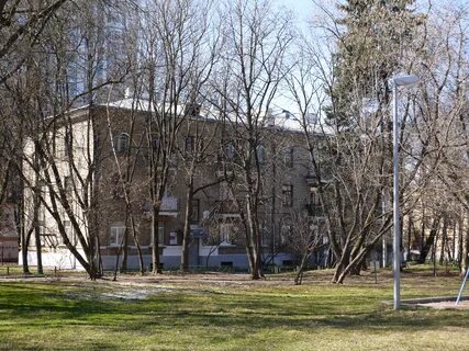 Улица василия