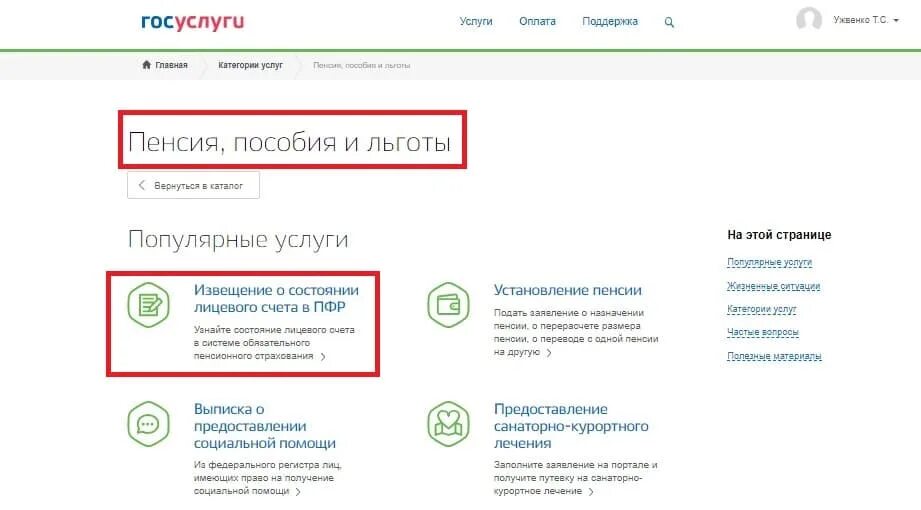 Как узнать будущую пенсию через госуслуги. Госуслуги пенсия. раздел пенсии на госуслугах. моя пенсия на портале госуслуг. госуслуги размер пенсии.