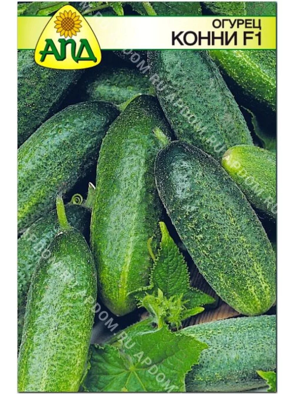 Огурец "бимбо стар f1". Огурец сорт конни отзывы. Сорт огурцов конни f1. Огурец f1 патти. Огурец сорт конни отзывы.