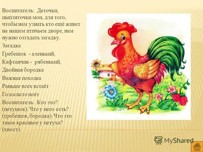 кафтанчик рябенький. семьсот соловьяи на подушке сидят. шапочка алая кафтанчик рябенький отгадка. семьсот соловьят на подушках сидят ответы окружающий. семьсот соловьят на подушках сидят ответы окружающий.