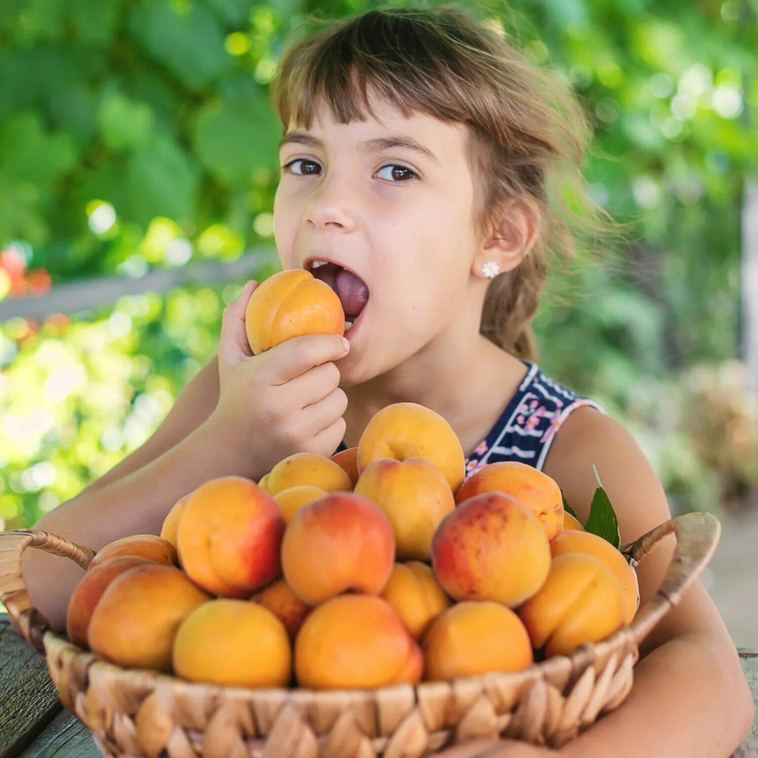 Кушать персик. Абрикосы на тарелке. Абрикос для детей. Мальчик с абрикосами. Кушаем абрикос.