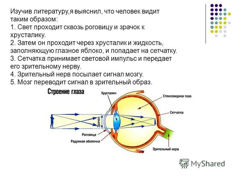 Установите последовательность прохождения структур глаза светом. Схема прохождения света через оптическую систему глаза. Прохождение света чере глаз. Зрительный импульс последовательность. Оптическая система глаза (светопроводящий и фокусирующий аппарат).