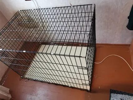 В большой клетке в 2 раза больше