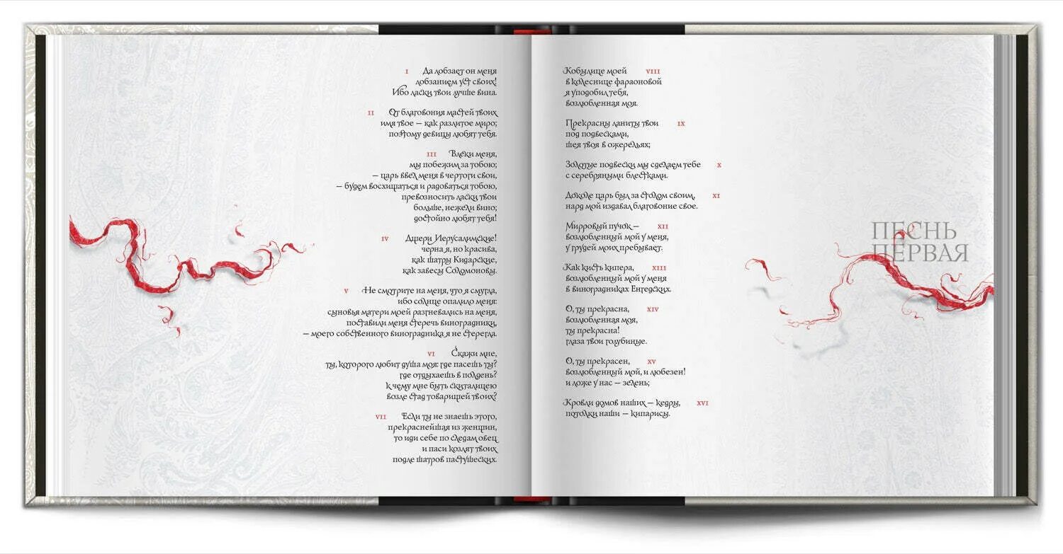 Эксклюзивные книги. Песнь песней соломона книга. Песнь песней соломона книга. Песнь песней царя соломона сальвадор дали. Суть книги песнь песней.