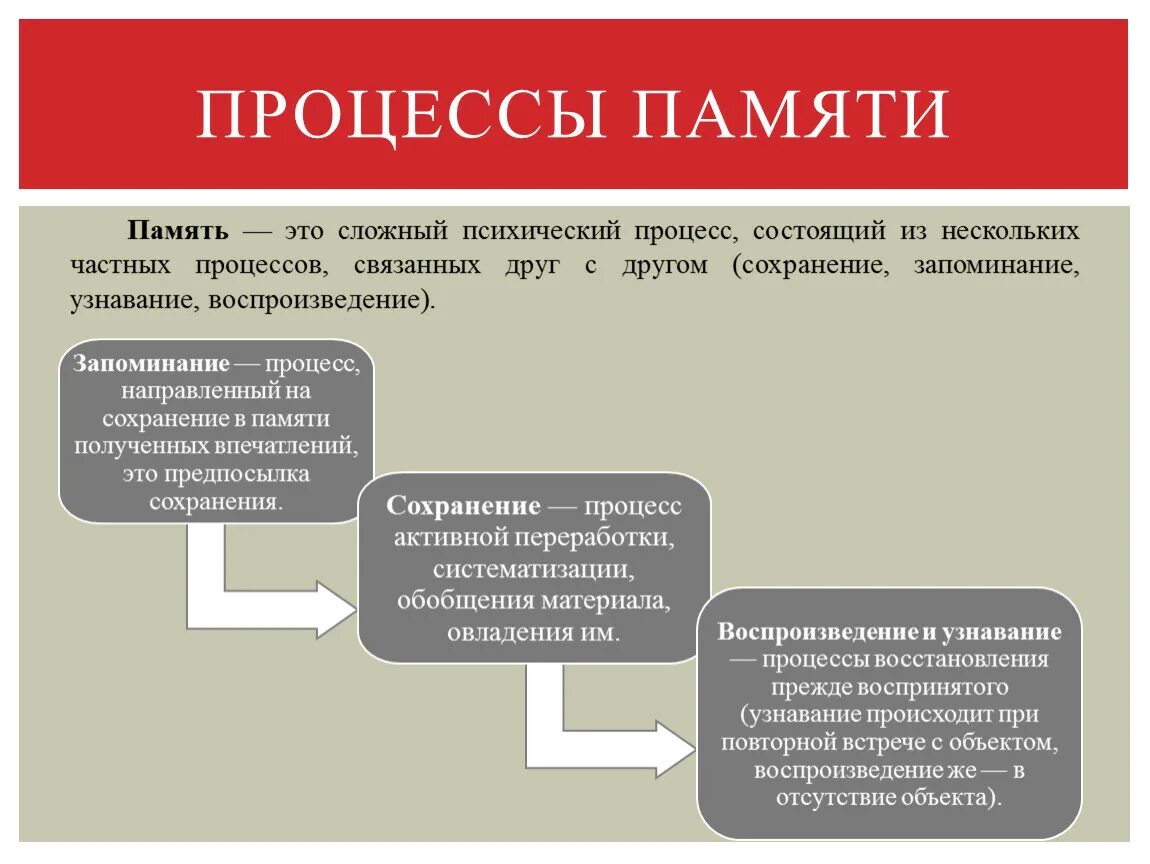 Процессы памяти человека