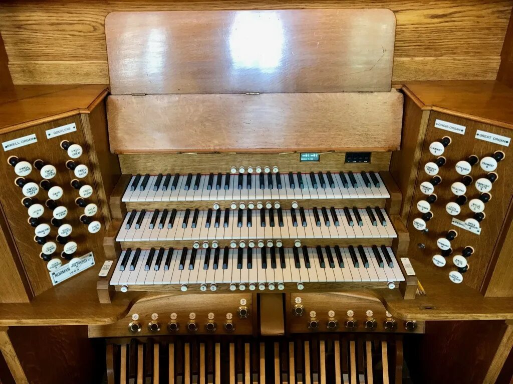 Organ купить. Орган инструмент. Арган музыкальный инструмент. Ламповый орган. Джонстонова органа.