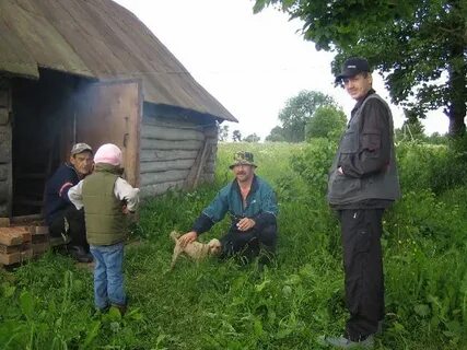 Погода в д покоево