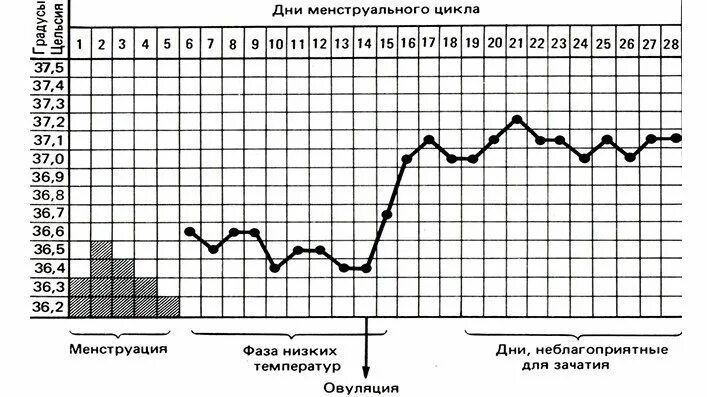 Забеременела на 7 цикл. Температурный график менструального цикла. График изменения базальной температуры в течение цикла. График температуры в зависимости от цикла. Базальная температура до месячных график.