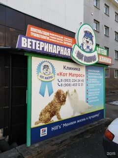 Кот матрос магазин для животных