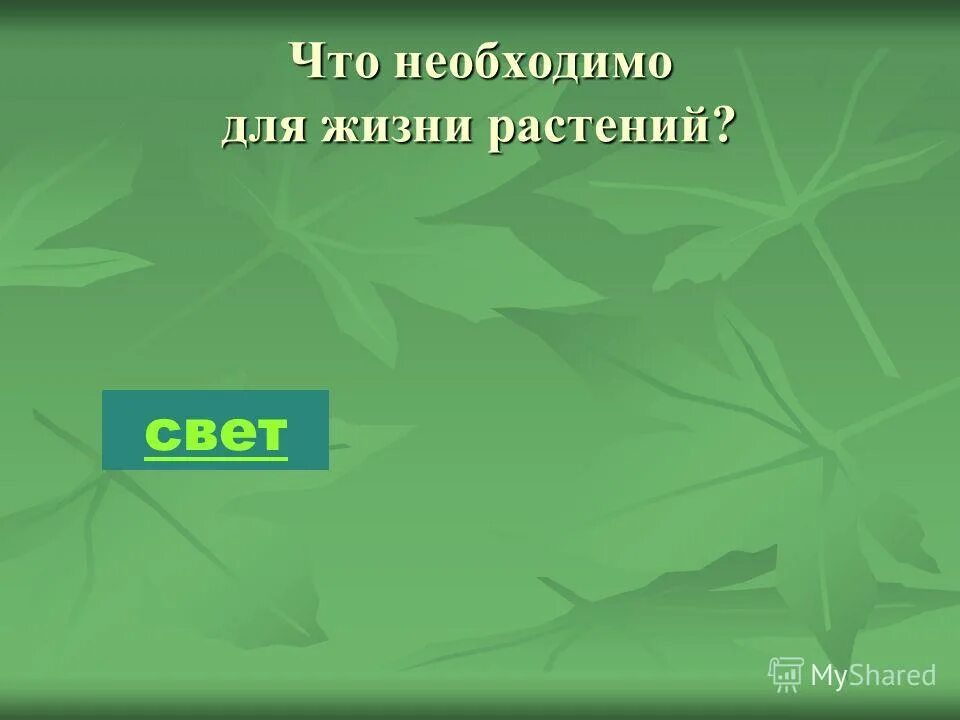 Тема жизнь растений. Сколько растений на земле. Сколько всего растений. Растения необходимые для жизни на земле. Невидимая жизнь растений.