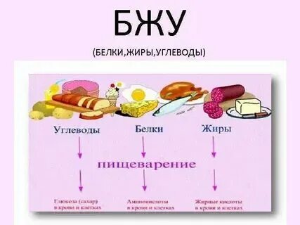 Блюда из белка и углеводов