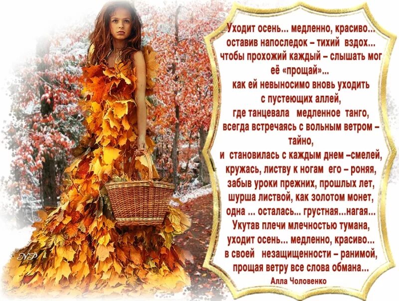 Тихо вздохнув