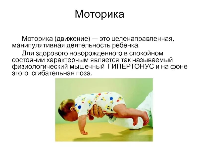 Тонус у месячного ребенка. Физиологический гипертонус. тонус мышц у новорожденного. физиологический гипертонус мышц.