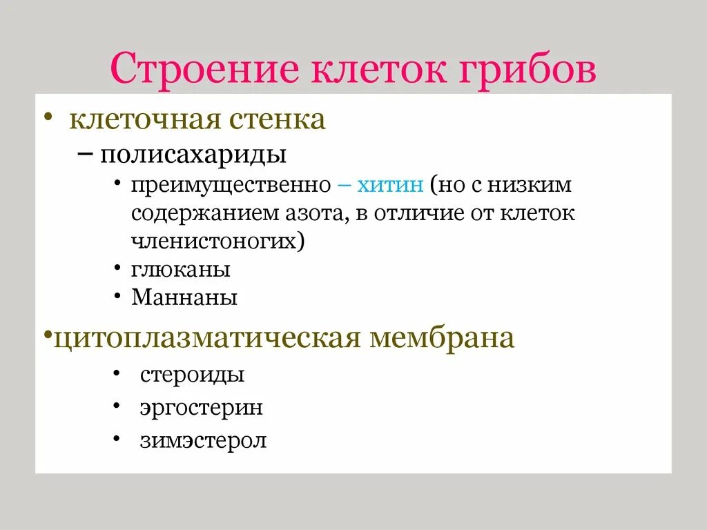 Признаки грибов наличие клеточной стенки. Строение клеточной стенки грибов. Строение клеточной стенки гриба. Строение клетки гриба клеточная стенка. Клеточная стенка в клетках грибов.