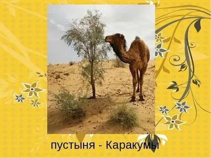 Каракум аккорды