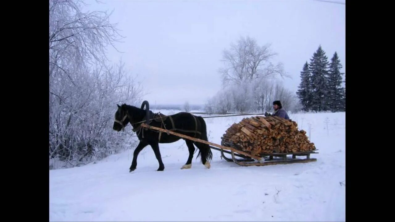 Лошади в деревне зимой. Телега дров. Лошадь запряженная в сани. Сани для дров. Невдалеке стояла телега запряженная