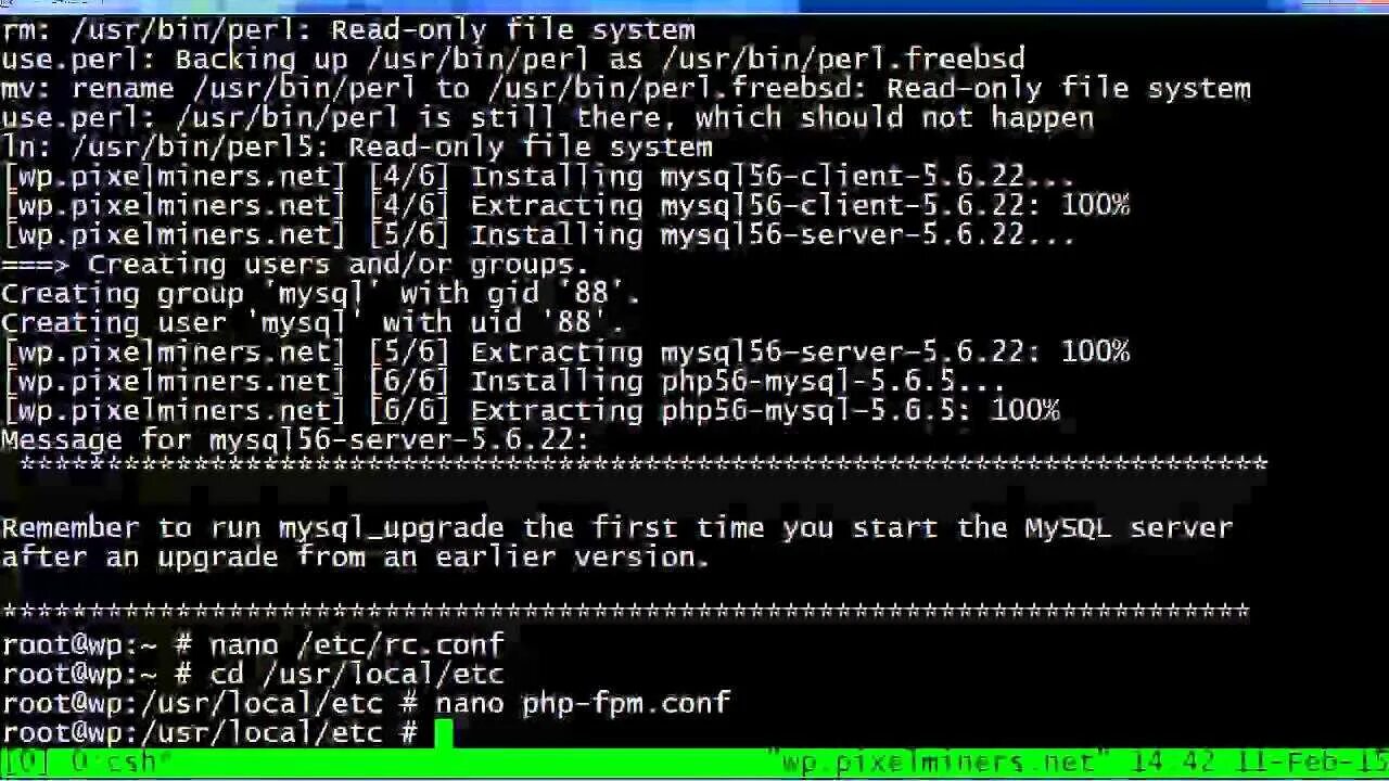 Freebsd настройка сети. Freebsd сервер. freebsd интерфейс. freebsd 14. установка freebsd 14.