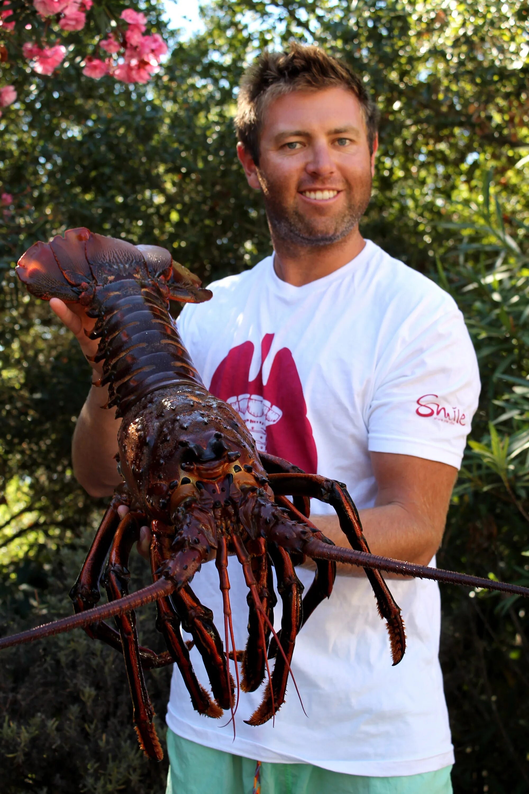 Фото огромного рака. Лангуст и Омар. Американский Омар гигант. Омар и лобстер. Giant spiny Lobster.