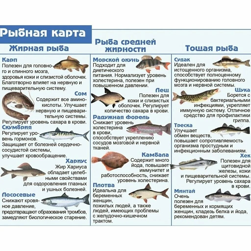 Какую рыбу можно давать до года