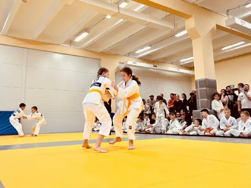 Атмосфера борьбы. Сослан кцоев 2009. Способы борьбы с загрязнением атмосферы. Джиу джитсу фото. Атмосфера борьбы.