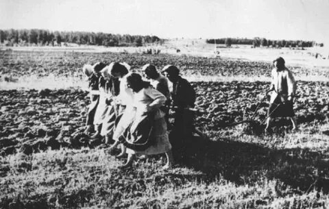 Весной 1943 года