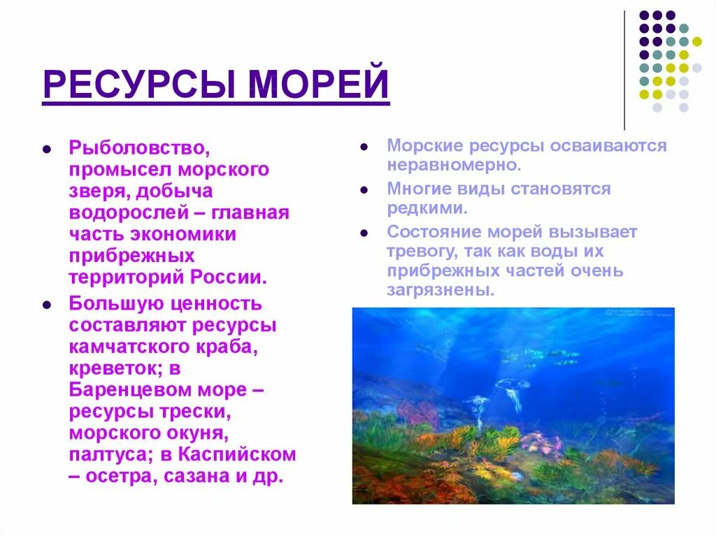 Какие богатства есть в россии. Ресурсы морей России 8 класс география. Природные ресурсы Баренцева моря. Ресурсы баненцово моря. Биологические ресурсы морей России.