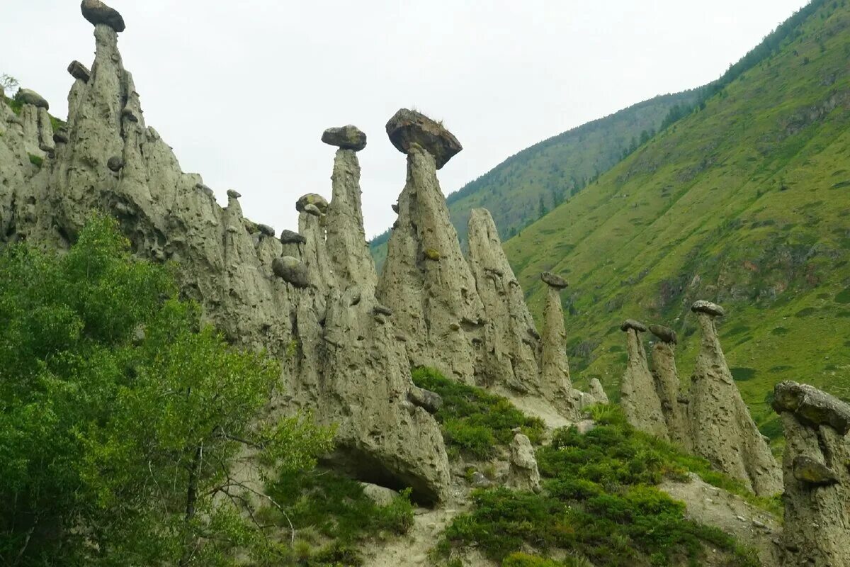 Каменные грибы алтай чулышманская долина. Чулышманская долина каменные грибы. Урочище аккурум на алтае и его каменные. Каменные грибы алтай. Долина чулышмана каменные грибы.