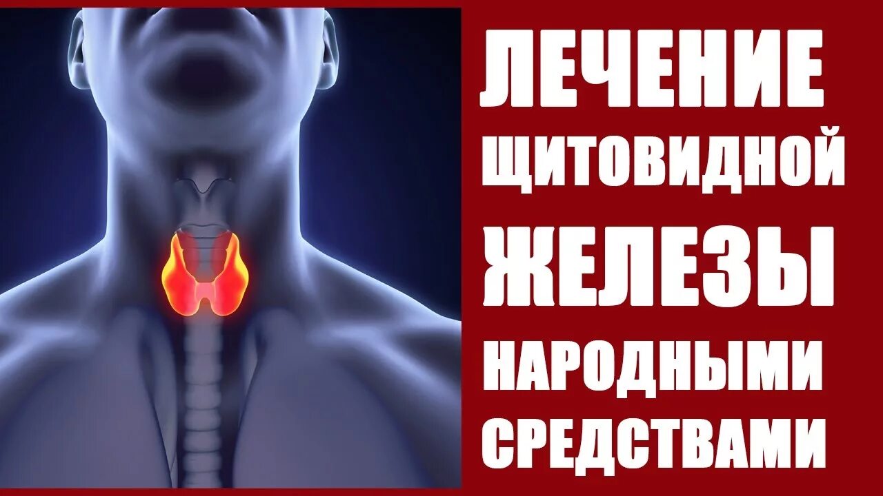 Щитовидная железа лечение. Щитовидная железа лечение народными средствами отзывы. Щитовидная железа лечение народными средствами отзывы. Щитовидка лечение народными средствами. Щитовидная железа фитотерапия.