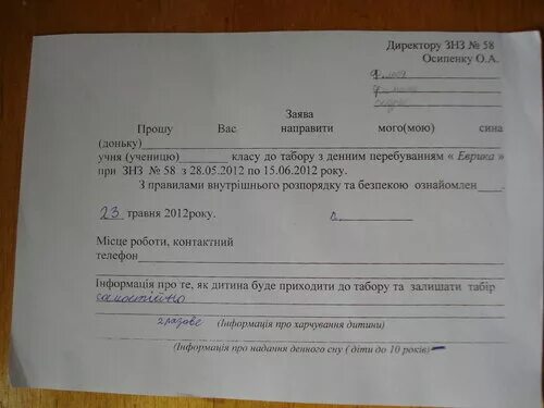 Заявление на оздоровление детей. Заявление в лагерь от родителей образец. Форма заявления в лагерь с дневным пребыванием. Заявление в школьный лагерь. Заявление на отказ от лагеря.