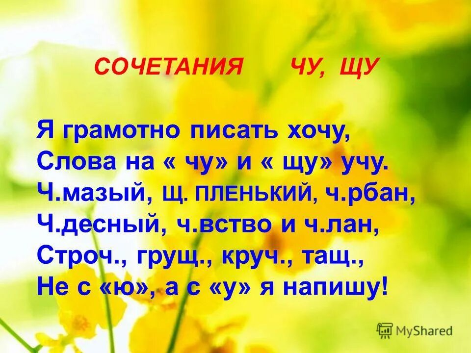 слова с сочетанием щу 2 класс. слова с сочетанием щу 2 класс. правило ча ща чу щу. слова с сочетанием чу-щу. сочетания ча ща чу щу.