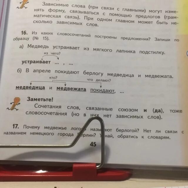 Почему номер 16. Предложение со словом Медвежонок. Слово 16 номера.