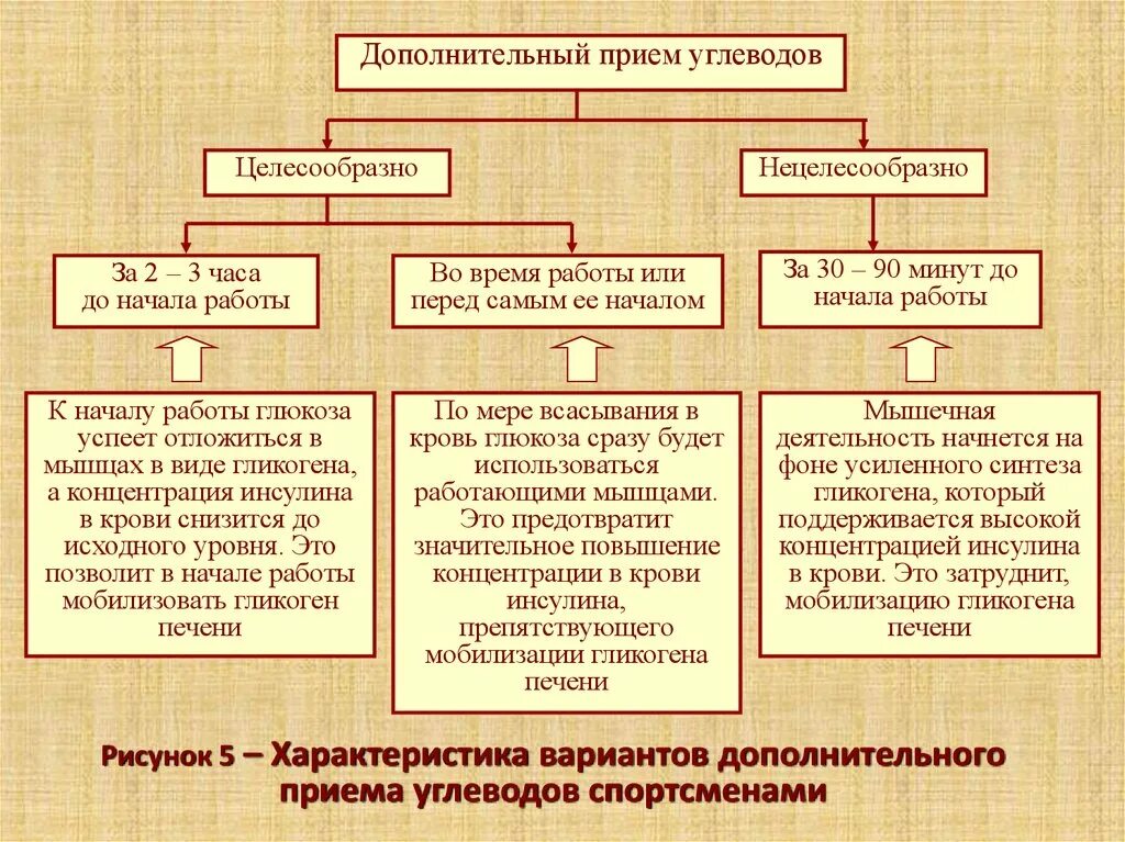 Применение нецелесообразно. Не целесообразен или нецелесообразен. при каких условиях целесообразно или нецелесообразно использовать. будет целесообразно или целесообразным. нецелесообразно или нецелесообразным как правильно.