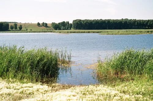 Озеро Песчаное Алтайский край Топчихинский район. Село Парфеново Топчихинский район Алтайский край. Озеро Песчаное Топчиха Алтайский край. Село Песчаное Топчихинский район Алтайский край. Погода парфеново алтайский край топчихинский