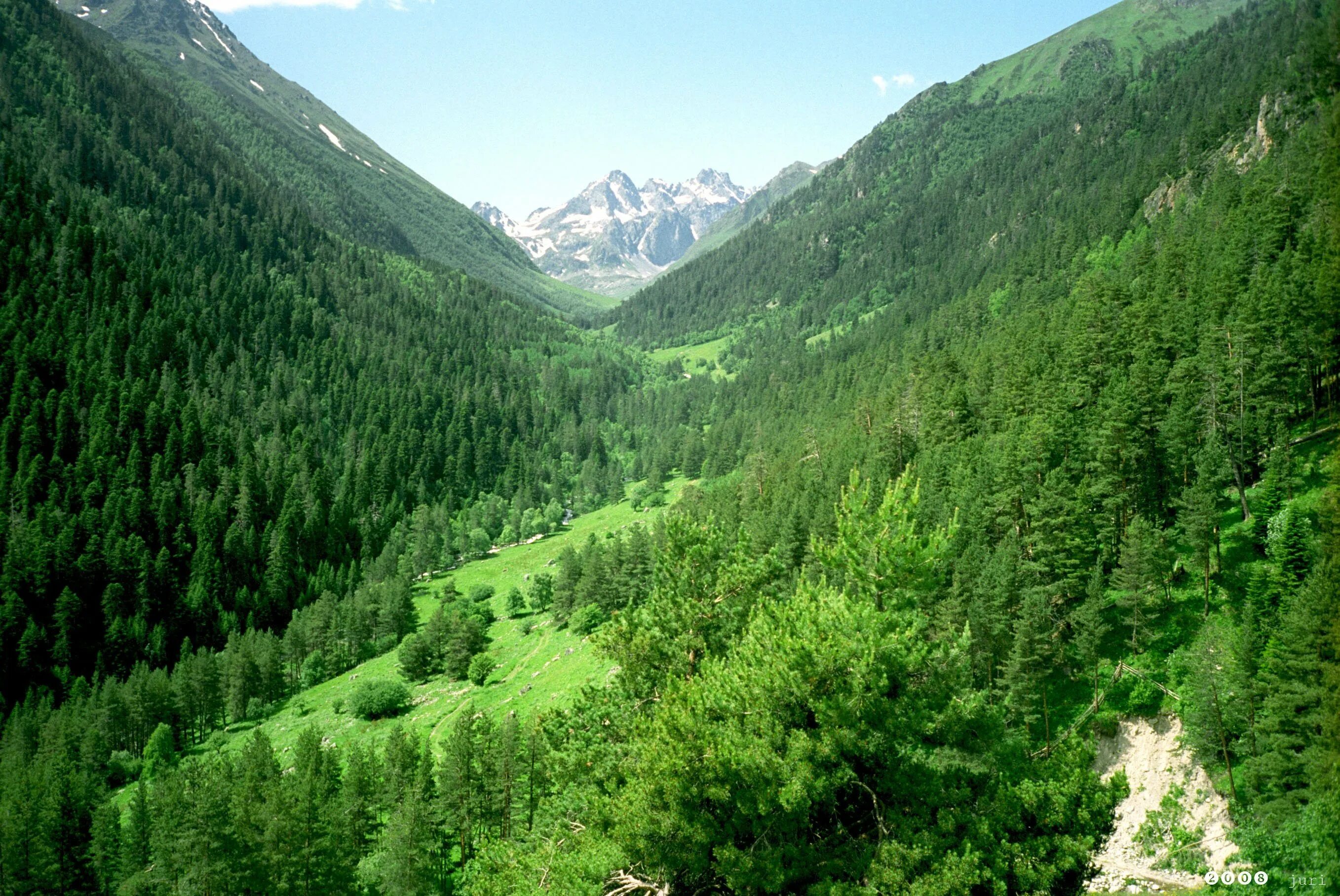 Теберда мухинское ущелье гора лысая. Теберда ущелье. Ущелье аманауз, карачаево-черкесия. Долина теберды. Гоначхир домбай.