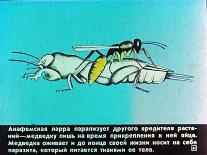 Скорее б