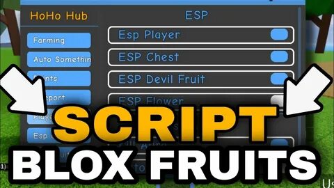 Blox fruit script pc