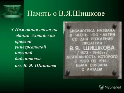 Тема шишков