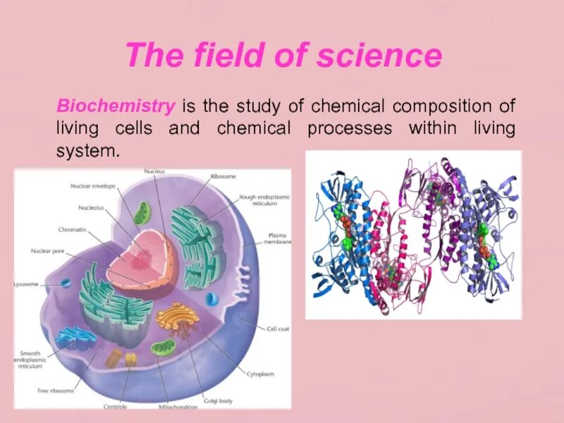 Field of chemistry. Химия лаборатория. Field of chemistry. Field of chemistry. Nace химия.