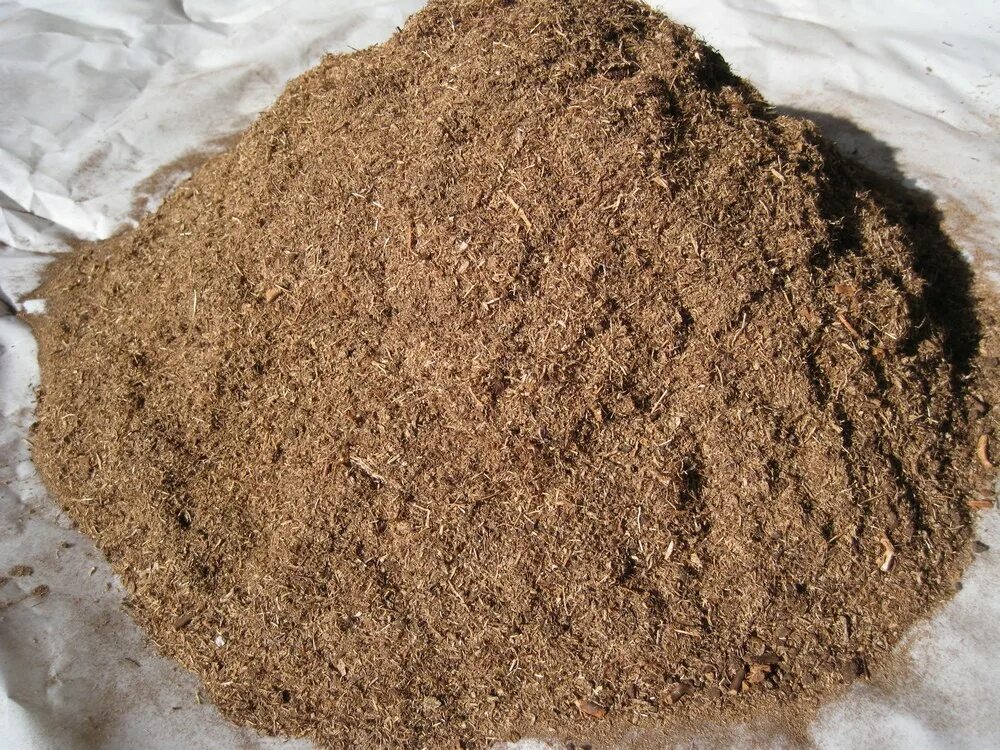 Turba az