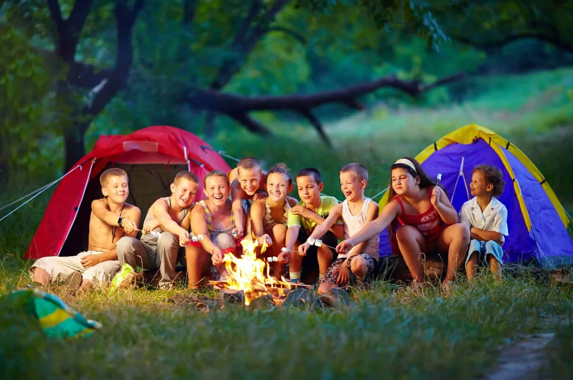 Camping with dad. Палаточный лагерь. Туристический лагерь. Палаточный лагерь для детей. Отдых на природе.