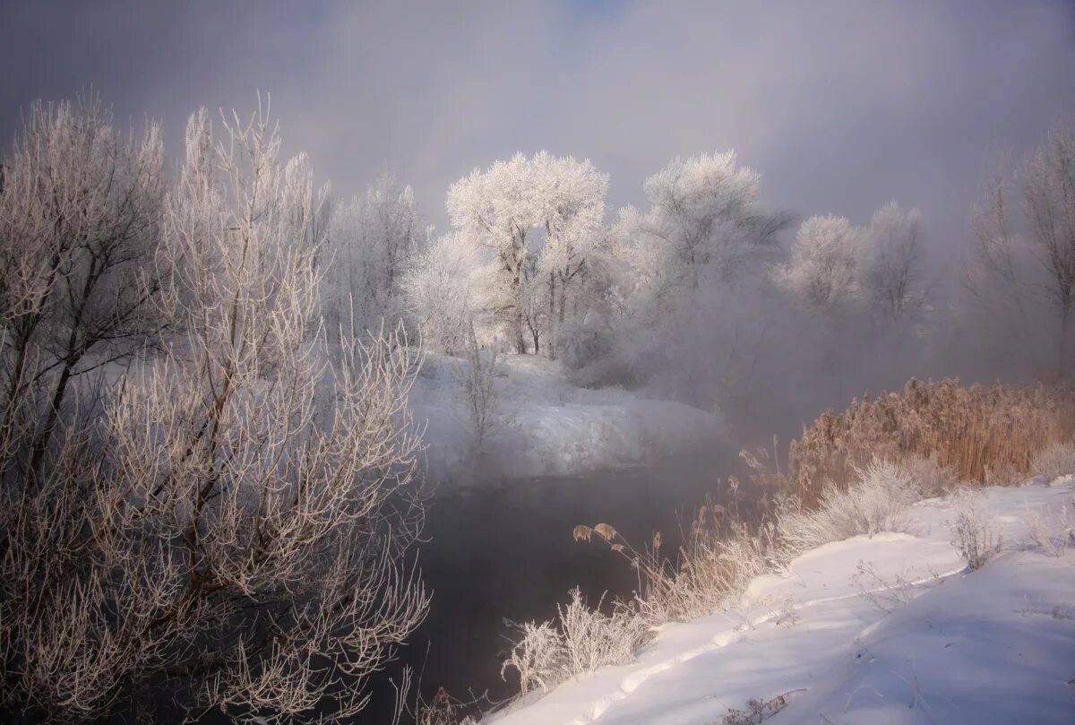 Туман зимой. Дымка зимой. Зима в Оренбургской области. Туманный зимний день. Дымка снега