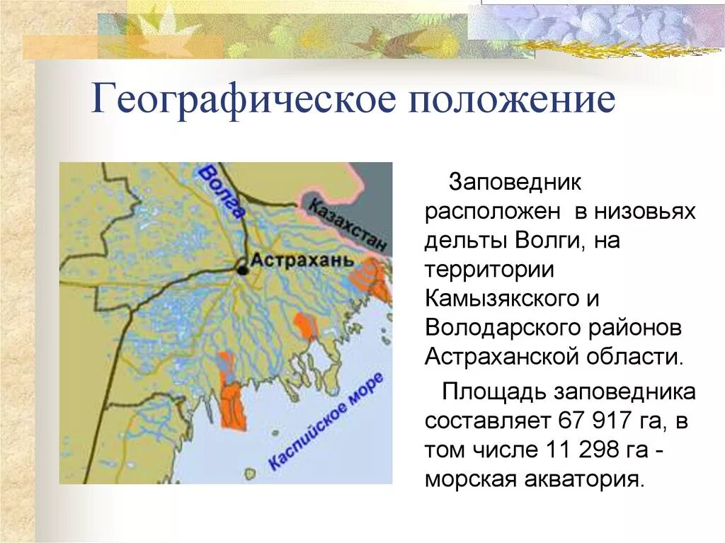 В каком географическом районе находится астраханская область. Астраханский заповедник географическое положение. Астраханский заповедник володаровский район. Географическое положение Астрахани. Расположение Астраханского заповедника на карте.