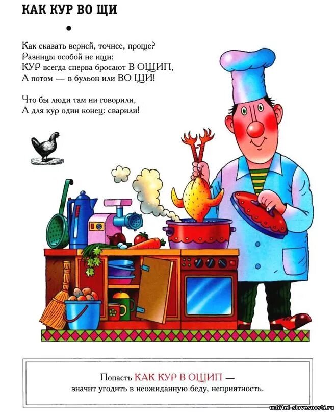 Как кур в ощип значение. Попасть как кур во щи. как кур во щи фразеологизм. попал как кур в ощип картинка. кур во щах поговорка.
