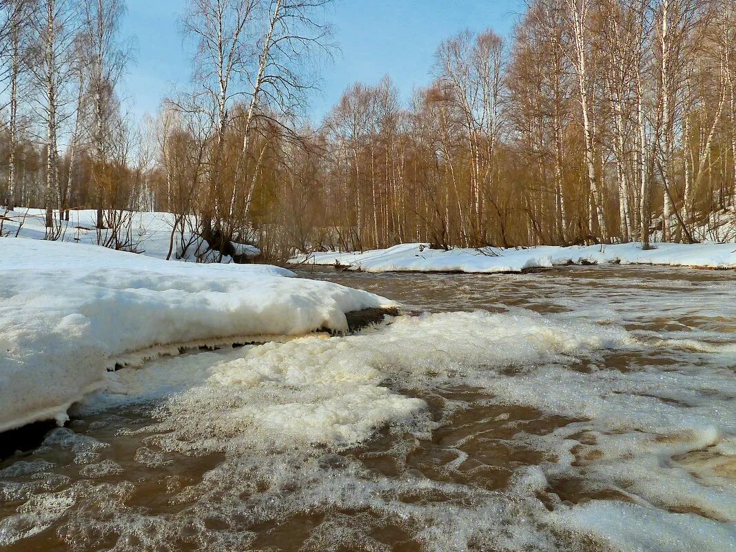 Зачем весной ручьями. Ручьи весной. Весенние ручьи. Весенний Ручеек.