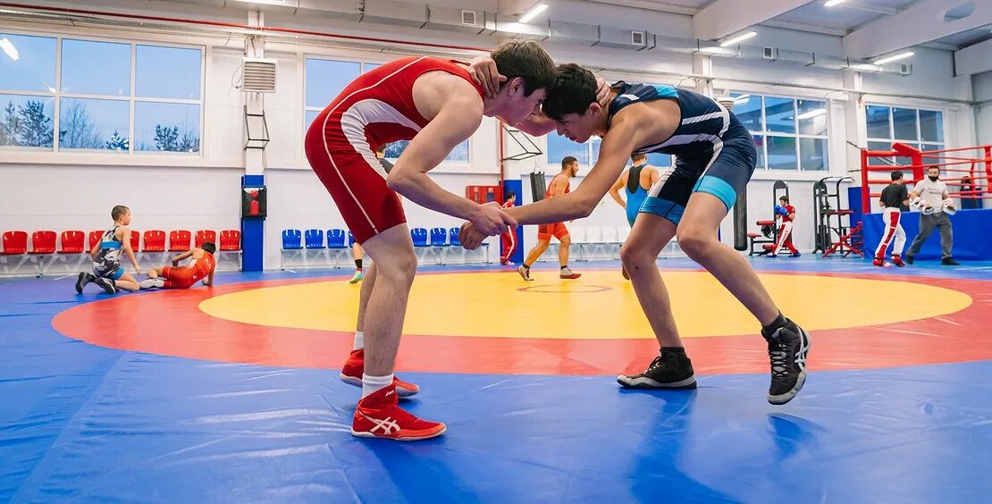 Единоборства ханты мансийск. Самбо ханты-мансийск. Центр единоборств солнечный сургутский. Региональный центр единоборств в г. Каратэ борьба.