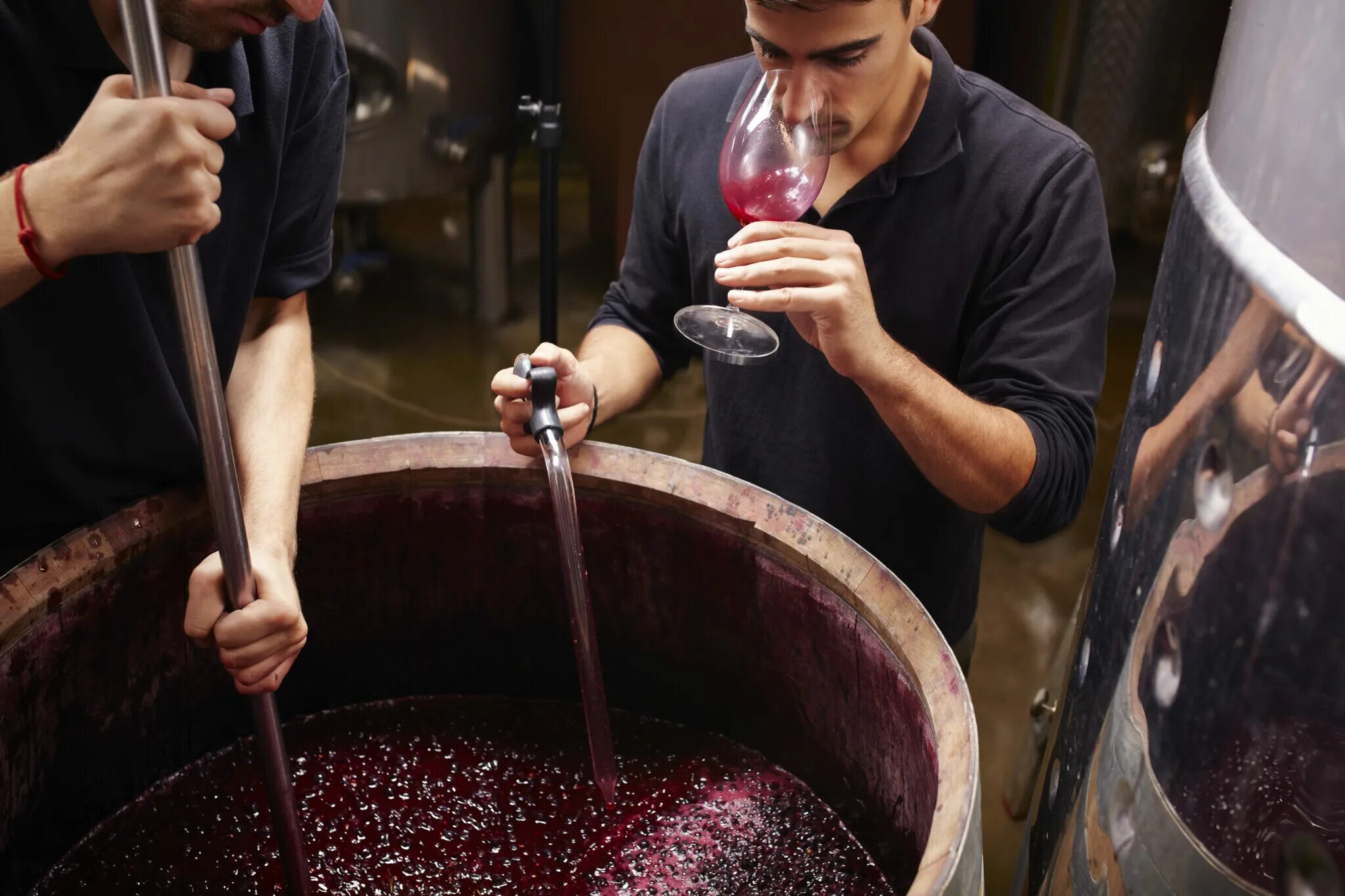 Вино приготовление винограда. Технология бродильных производств и виноделие. Виноделие брожение. Ферментация вина. Изготовляе вина.